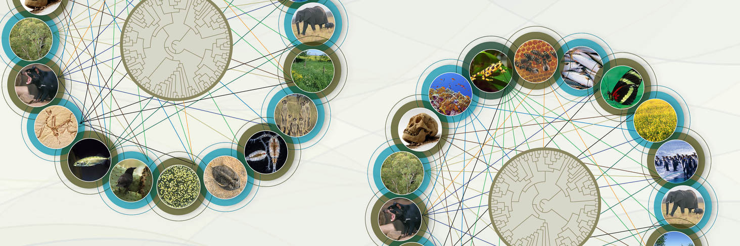 Welcome to Nature Ecology & Evolution